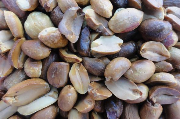 Полезные свойства арахиса для женщин