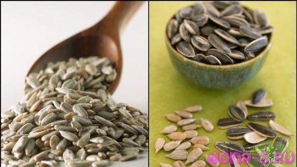 Факты о питательных свойствах семян подсолнечника