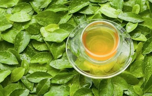 Продукты для иммунитета: Зеленый чай