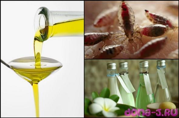 Лечение педикулеза маслом оливы и эфирами
